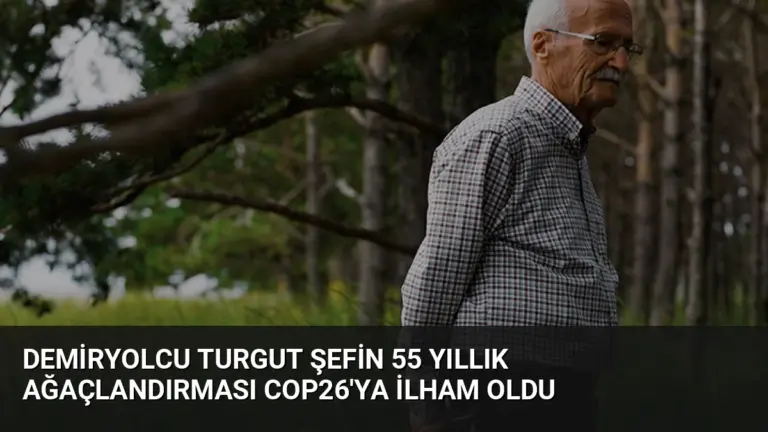 Demiryolcu Turgut Şefin 55 Yıllık Ağaçlandırması COP26’ya İlham Oldu