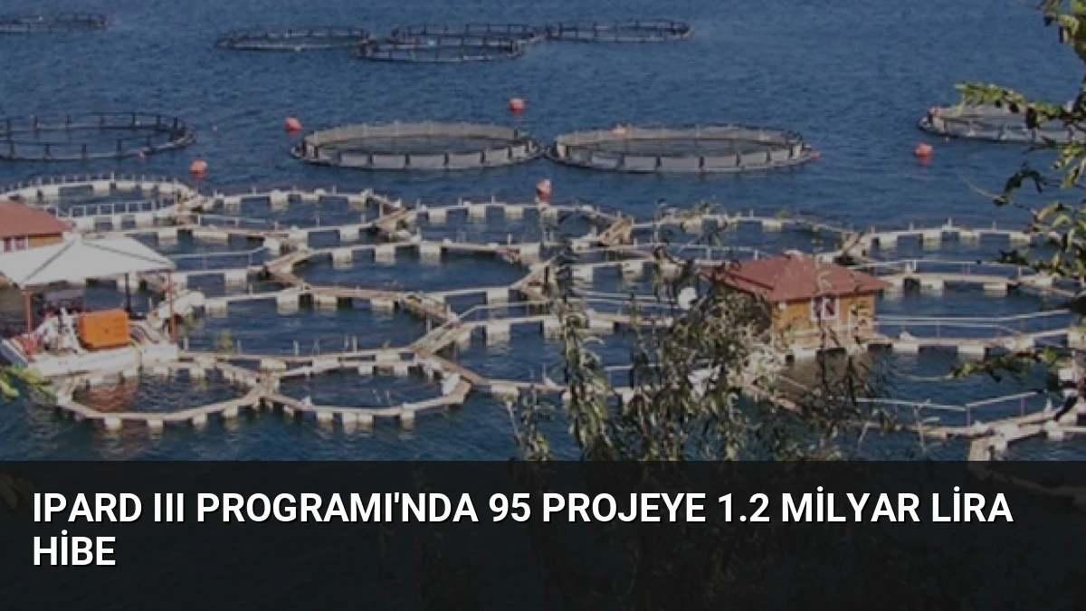 IPARD III Programı’nda 95 projeye 1.2 milyar lira hibe