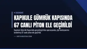 Kapıkule Gümrük Kapısında 67 Canlı Piton Ele Geçirildi