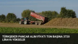 Türkşeker Pancar Alım Fiyatı Ton Başına 3720 Liraya Yükseldi