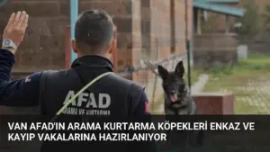 Van AFAD'ın Arama Kurtarma Köpekleri Enkaz ve Kayıp Vakalarına Hazırlanıyor